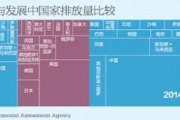 中国近30%碳排放由它国消费引起