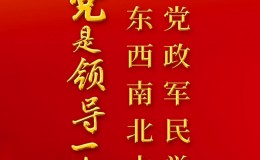 党的坚强领导是凝聚万众一心磅礴伟力的保障和前提基石