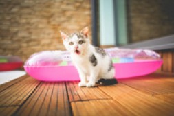 旗帜鲜明坚决批判“发生战争不上”的妖言歪风!